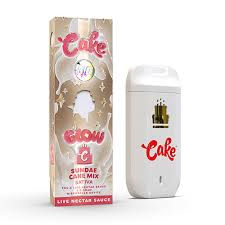 Is Cake Disposable Suitable For Beginners?
